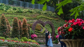 A large heart-shaped flowerbed is placed in the landscaped area outside the Marriage Registry of Hong Kong Park for photo taking by the newlyweds and their relatives.